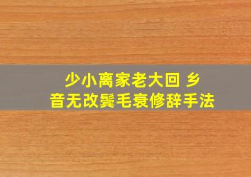 少小离家老大回 乡音无改鬓毛衰修辞手法